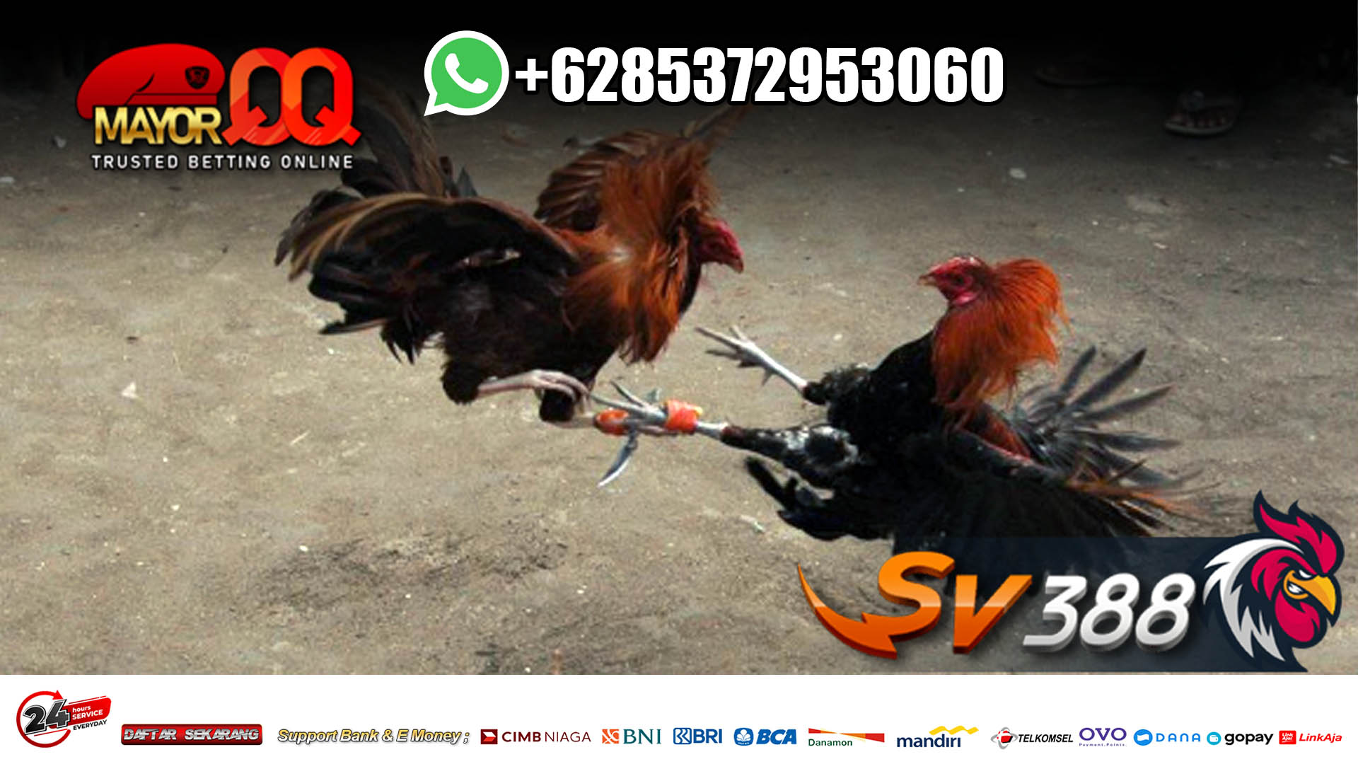 SV388 Sabung Ayam Online Forcesunitedwhatsnext1